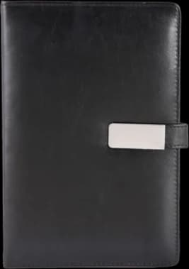 Diary — BFD-01