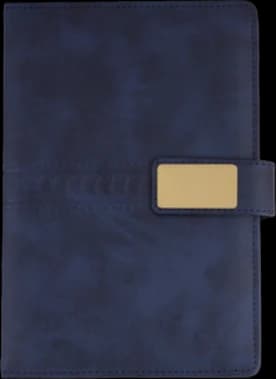 Diary — LD-01