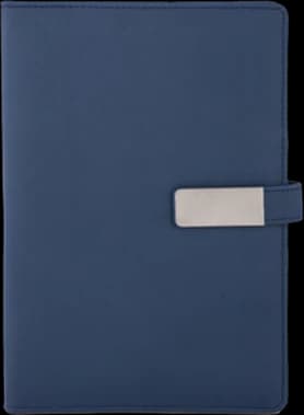 Diary — NFD-01