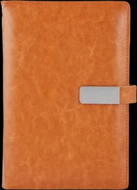 Diary — TFD-01